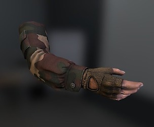 FPS Hand