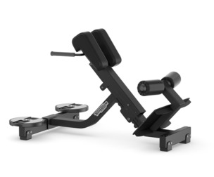 Technogym Pure Lower Back Bench