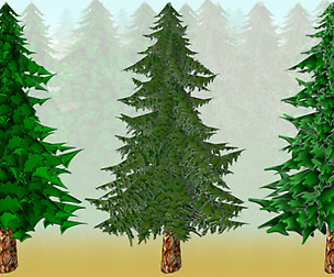 Toon Pine Tree