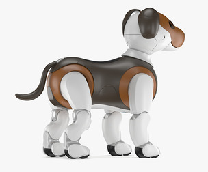 Aibo Choco