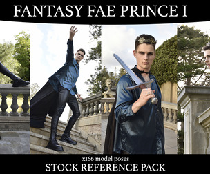 Fantasy Prince - Stock Model reference Pack 1