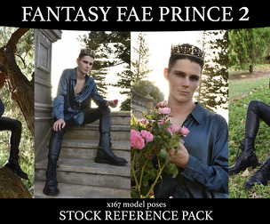 Fantasy Prince - Stock Model reference Pack 2