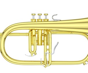 Flugelhorn