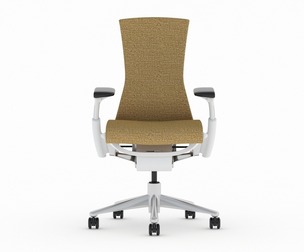 Herman Miller Embody Chair