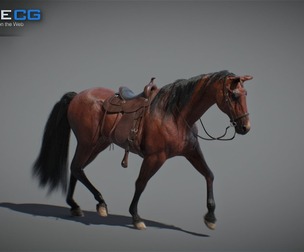 Horses Animated v5