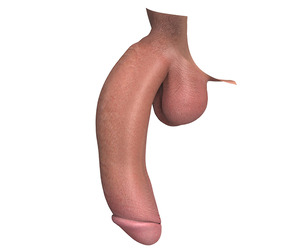 Photo Realistic Big Flaccid Penis