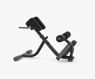 Technogym Element Plus Lower Back Bench