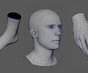 Head / Hand / Foot Basemesh