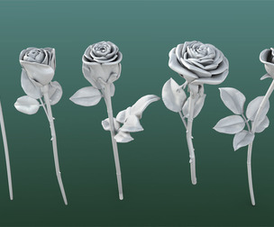 Rose Printable
