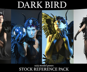 Dark Bird - Stock Model Reference Pack