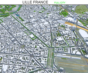 Lille city France 3d  model 70km