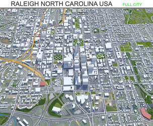 Raleigh city North Carolina USA 3d model 60km