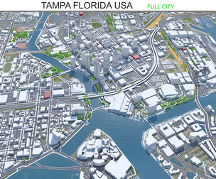 Tampa city Florida USA 3d model 50km