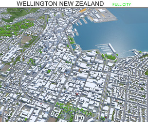 Wellington City New Zealand 3D Model 50km