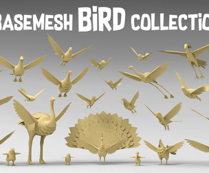 25 Basemesh bird collection 2