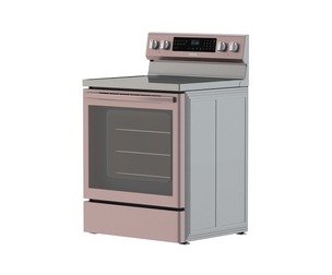 Samsung 5.9 cu. ft. Electric Range