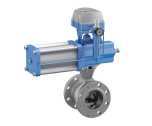 Segment Ball Valve