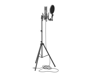 Studio Microphone With Filter