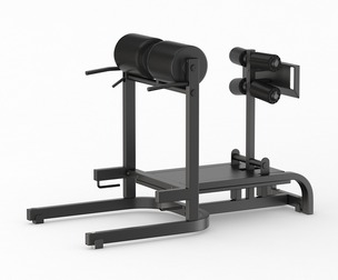 Technogym GHD