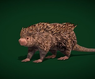 Brazilian Porcupine Rodent