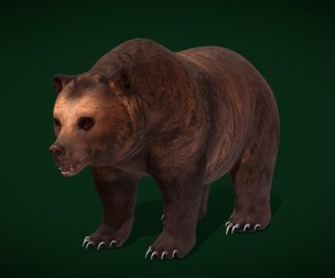 Grizzly Brown Bear
