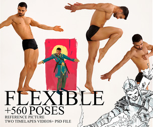 520+ Flexible Poses Reference pictures+videos+psd