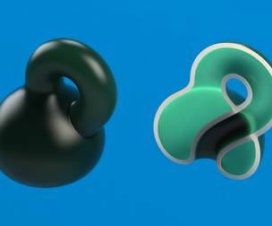 Optical illusion - Klein Bottle by MC Escher