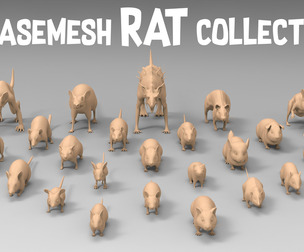 25 Basemesh rat collection