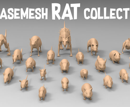 Collection