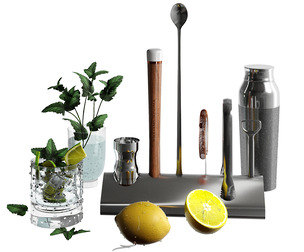 Williams Sonoma Signature Bar Tool Set
