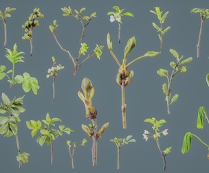 25 Spring Sprouts