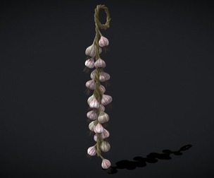 Hanging Garlic