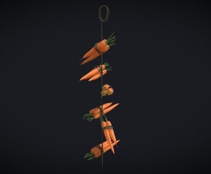 Hanging Carrots