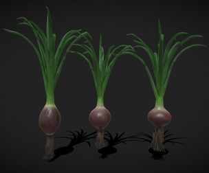 Red Onions