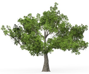 Game Ready Tree 01