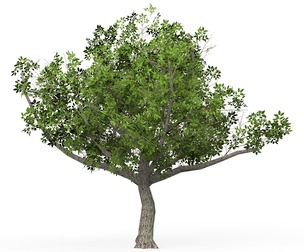 Game Ready Tree 02