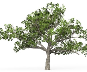 Game Ready Tree 03