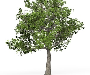 Game Ready Tree 04