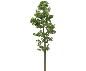 Game Ready Tree 07