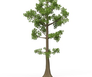 Game Ready Tree 08