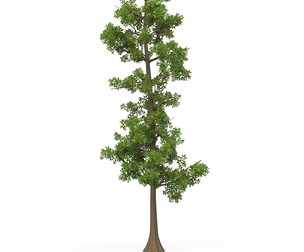 Game Ready Tree 09