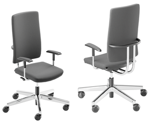 Versatile Gray Office Chair With Armrests