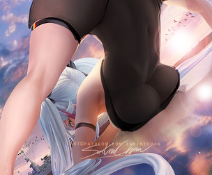 Prinz Eugen Video Process