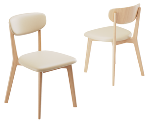 Ergonomic Office Chair