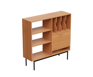 Mid-Century Modern Storage Unit