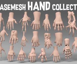 25 Basemesh hand collection