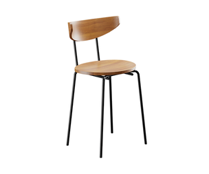 Chic Modern Wooden Chair