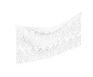 Delicate Lace Curtain