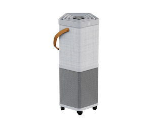 Portable Air Purifier