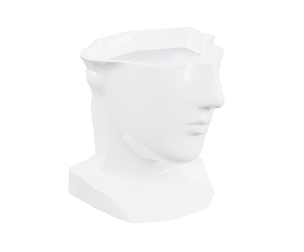 Minimalist White Bust Vase